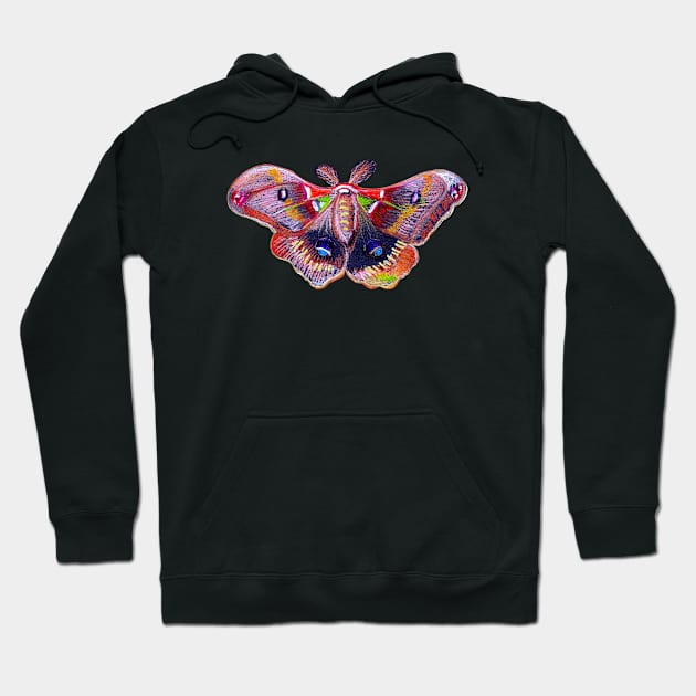 Colorful Moth - Black Hoodie by Neginmf